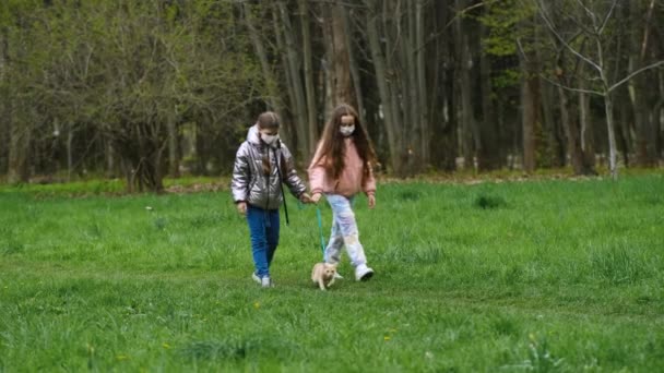 医療用マスクを着た2人の女の子が春の日にリードに生姜猫と公園を歩いています ペットへの愛の概念 — ストック動画