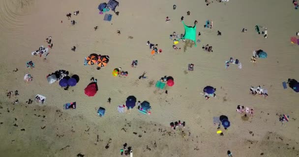 太平洋岸の砂浜で日光浴をする人々 海による夏休みの概念 トップビュー ドローンからの撮影 — ストック動画