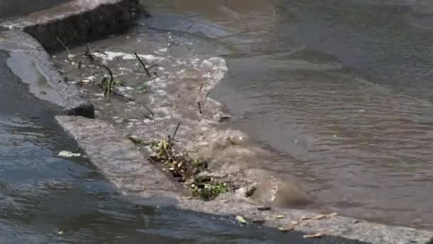 Water Komt Een Storm Riool Verstopt Met Takken Zware Regen — Stockvideo