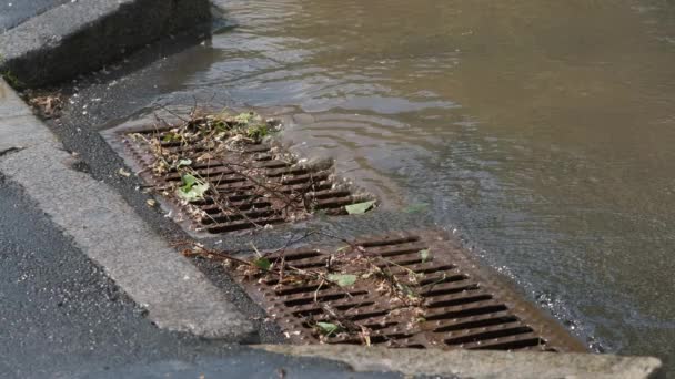 Eau Pénètre Dans Égout Pluvial Bouché Par Des Branches Après — Video