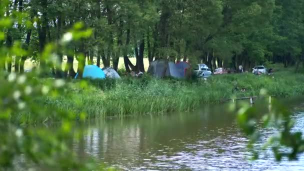 Menschen Mit Zelten Ruhen Sich Einem Sommertag Flussufer Einem Waldgürtel — Stockvideo