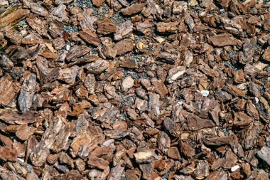 Yere yakın bir odun yığını yığını..