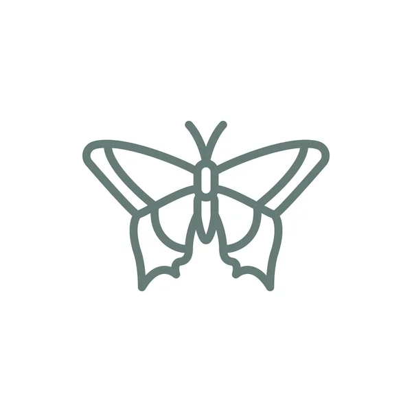 Icono Mariposa Icono Ilustración Diseño Estilo Plano Concepto — Foto de Stock