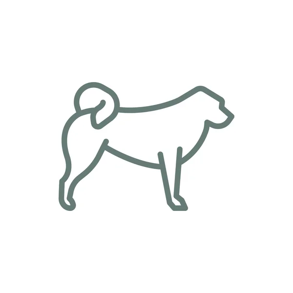 Dog Icon Concept Flat Style Design Illustration Icon — 스톡 사진