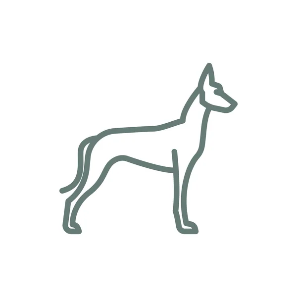 狗的图标 概念扁平设计图解图标 — 图库照片