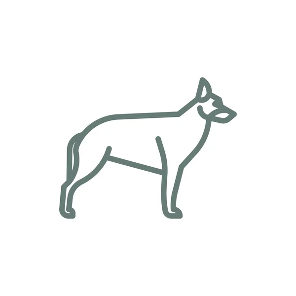 Dog Icon Concept Flat Style Design Illustration Icon — 스톡 사진