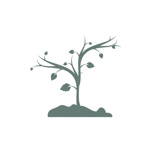 Ícone Árvore Símbolo Árvore Ícone Ilustração Design Estilo Plano Conceito — Fotografia de Stock