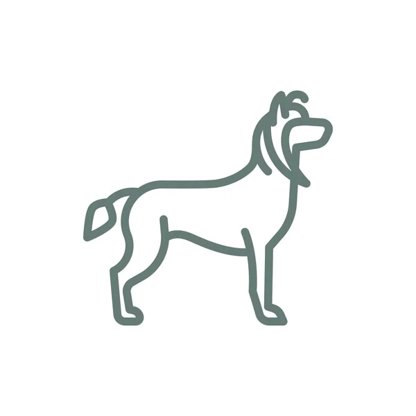 Icono Perro Icono Ilustración Diseño Estilo Plano Concepto — Foto de Stock