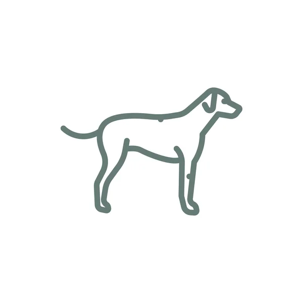 Dog Icon Concept Flat Style Design Illustration Icon — 스톡 사진