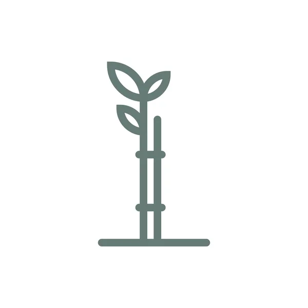 Значок Растения Иконка Плоским Дизайном — стоковое фото