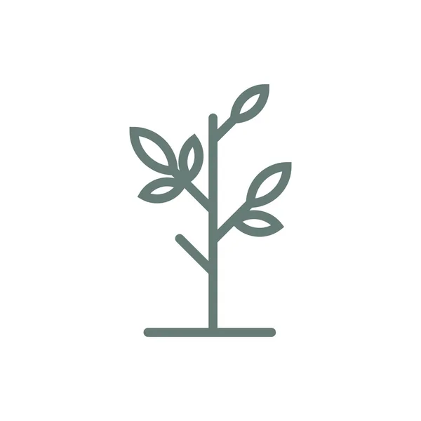 Icône Arbre Symbole Concept Plat Design Illustration Icône — Photo