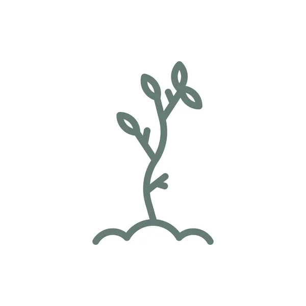 Bitki Simgesi Düz Biçim Tasarım Resimleme Simgesini Kavra — Stok fotoğraf
