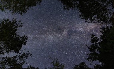 Geceleri kamp ateşiyle göl yıldızlı gökyüzü