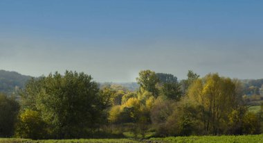 Sarı yapraklı sonbahar manzarası ağacı