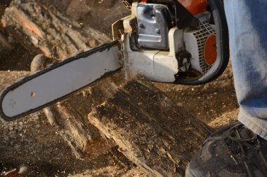 Elektrikli testere ve odun. Kış için odun hazırlıyorum.