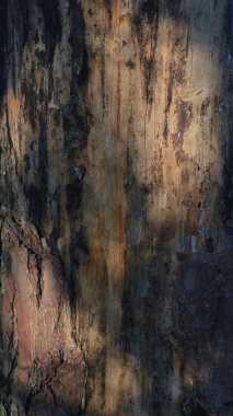 Sarı yapraklı sonbahar manzarası ağacı