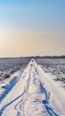 Beyaz karla kaplı tarlası olan bir yol. kış mevsimi.