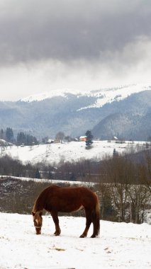 Manzara, dağların üzerindeki bulutlar...