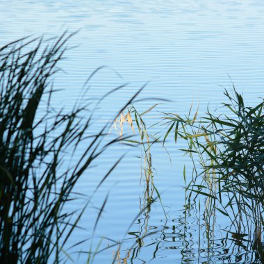 Yansıması olan bir gölün su yüzeyi..