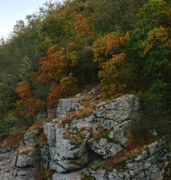 Autumn Trees Mountains — Stock Photo, Image