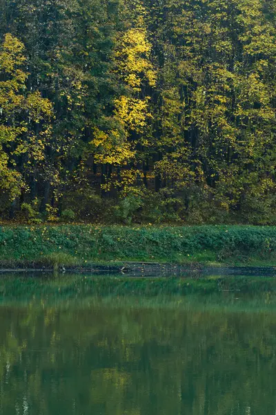 Paesaggio Forestale Autunnale Con Alberi Caduta Campagna — Foto Stock