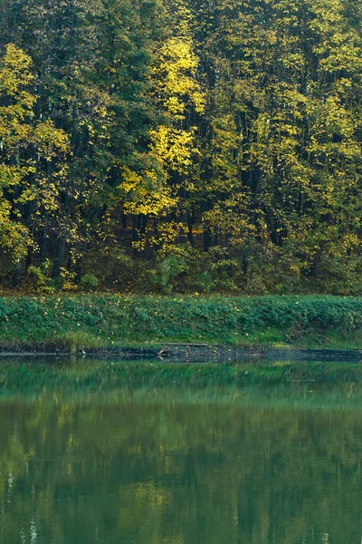 Paesaggio Forestale Autunnale Con Alberi Caduta Campagna — Foto Stock