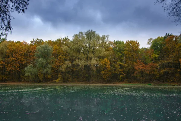 Autunno Albero Del Paesaggio Con Foglie Caduta Gialle — Foto Stock