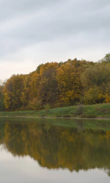 Autunno Albero Del Paesaggio Con Foglie Caduta Gialle — Foto Stock