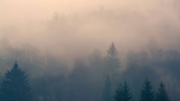 Misty Mountains Landscape Trees —  Fotos de Stock
