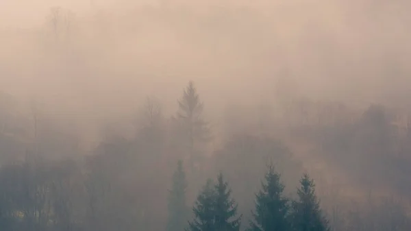 Mlhavé Hory Krajina Stromy — Stock fotografie