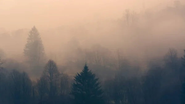 Misty Mountains Landscape Trees — Foto Stock