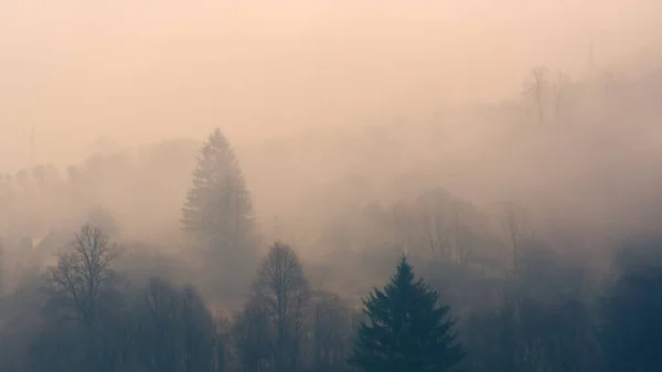 Mlhavé Hory Krajina Stromy — Stock fotografie