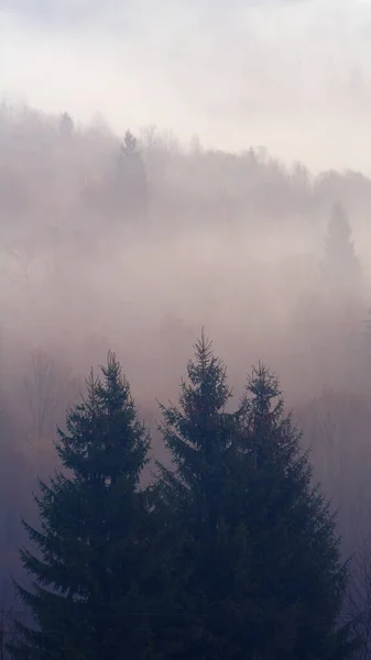 Mlhavé Hory Krajina Stromy — Stock fotografie