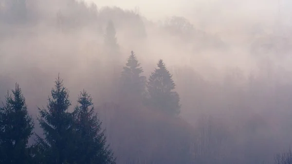 Mlhavé Hory Krajina Stromy — Stock fotografie