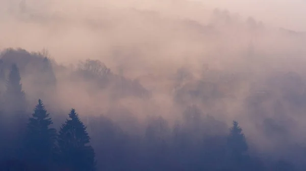 Niebla Montañas Paisaje Con Árboles —  Fotos de Stock