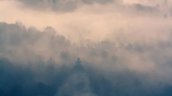 Paysage Montagnes Brumeux Avec Des Arbres — Photo