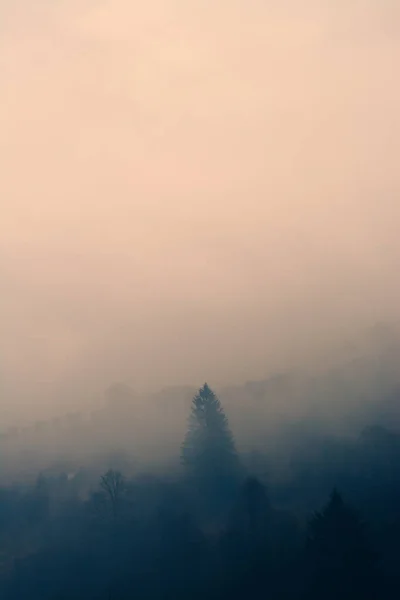Туманный Горный Пейзаж Деревьями — стоковое фото