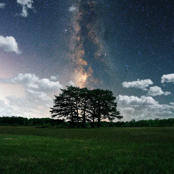 Belo Céu Noturno Estrelas Nebulosa Forma Leitosa — Fotografia de Stock