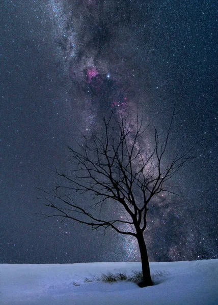 Paysage Nocturne Avec Lune Arbre Unique Neige — Photo