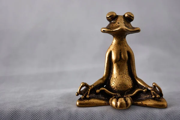 Lotus pozisyonunda oturmuş meditasyon yapan bir kurbağa.