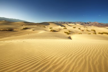 Ölüm Vadisi Ulusal Parkı 'ndaki kum tepeleri