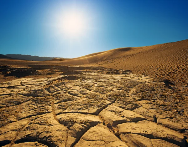 Песчаные дюны в солнечном свете — стоковое фото