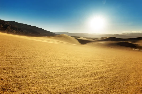 Landschap van zandduinen in een zonnige hemel — Stockfoto