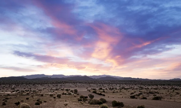 Prachtige dageraad op een woestijnlandschap in Zuid-Californië — Stockfoto