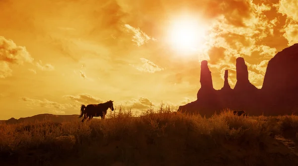 Anıt vadisinde otlayan atlar silüeti — Stok fotoğraf