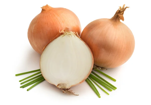 Cebollas marrones y cebollino sobre fondo blanco — Foto de Stock