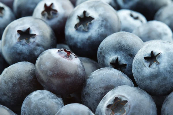 Nahaufnahme eines Haufens von Blaubeeren — Stockfoto