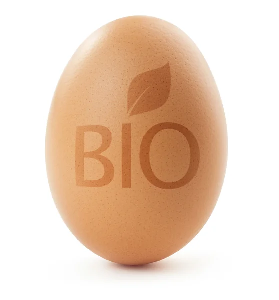 Huevo de gallina con la palabra "bio" sobre fondo blanco — Foto de Stock