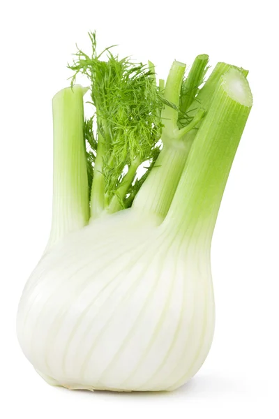 Nahaufnahme von frischem Fenchel isoliert auf weißem Hintergrund — Stockfoto