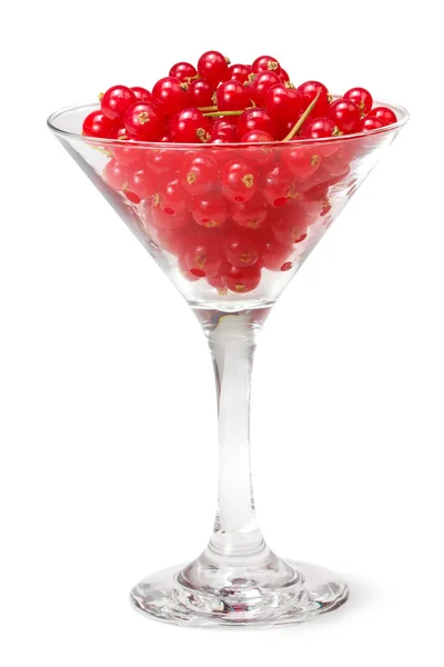 Red currant berries in a martini glass — Stock Photo, Image